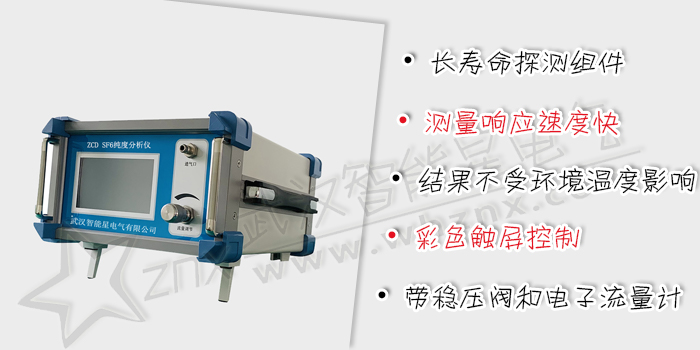 SF6纯度分析仪