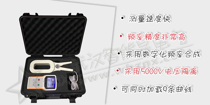 变压器铁芯接地电流测试仪